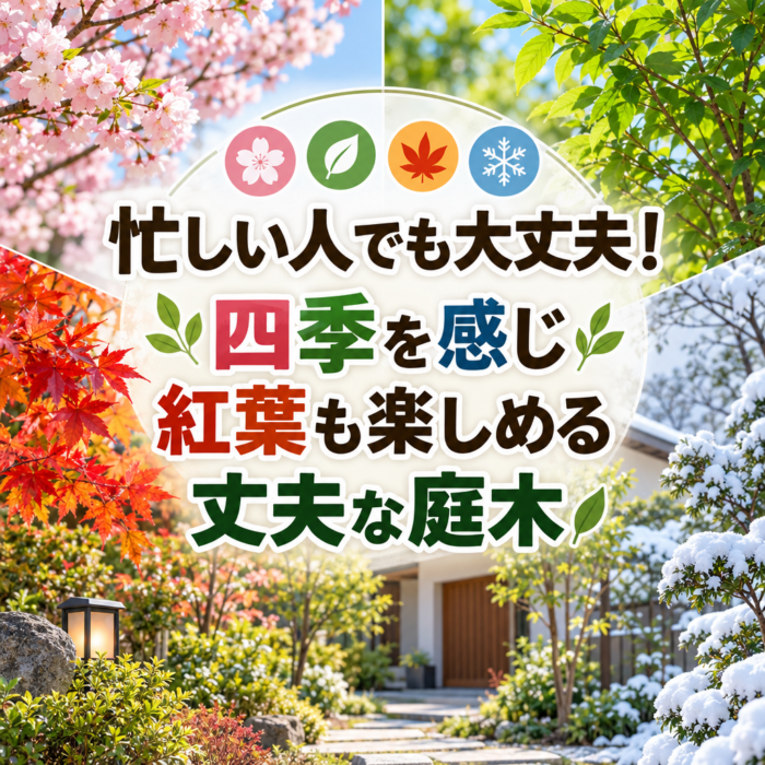 忙しい人でも大丈夫！四季を感じ紅葉も楽しめる丈夫な庭木